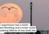 This April full moon is known as the pink moon because it heralds the arrival of spring flowers. Mark Rightmire/MediaNews Group/Orange County Register via Getty Images