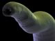 Bugs as treatment: coming to a clinic near you…