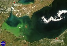 Forecasting dead zones and toxic algae in US waterways: a bad year for Lake Erie