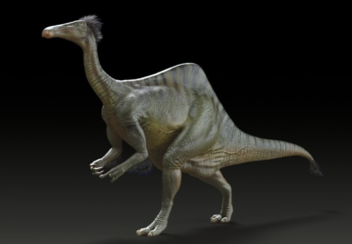 Big hug, guys. Yuong-Nam Lee