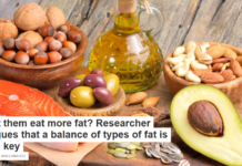 Let them eat more fat? Researcher argues that a balance of types of fat is the key