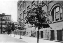 Not so long ago, cities were starved for trees