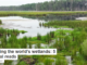 Protecting the world’s wetlands: 5 essential reads