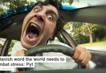 A Danish word the world needs to combat stress: Pyt