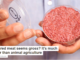 Cultured meat seems gross? It’s much better than animal agriculture