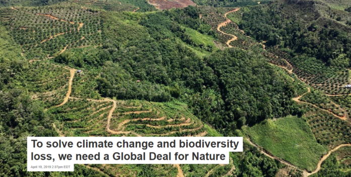 An aerial photo of Borneo shows deforestation and patches of remaining forest. Greg Asner, CC BY-ND