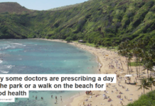Why some doctors are prescribing a day in the park or a walk on the beach for good health