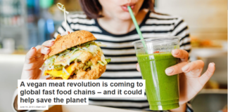A vegan meat revolution is coming to global fast food chains – and it could help save the planet