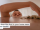 What does the dust in your home mean for your health?
