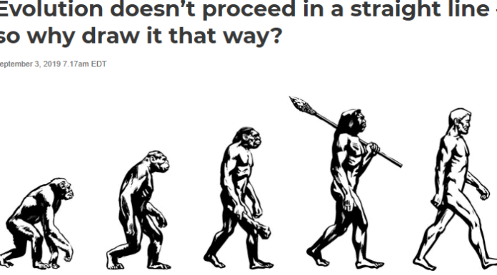 Evolution doesn’t proceed in a straight line – so why draw it that way?