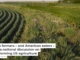 Iowa’s farmers – and American eaters – need a national discussion on transforming US agriculture