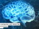Why a computer will never be truly conscious