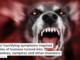 Rabies’ horrifying symptoms inspired folktales of humans turned into werewolves, vampires and other monsters