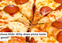 Curious Kids: Why does pizza taste so good?