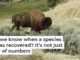 How do we know when a species at risk has recovered? It’s not just a matter of numbers