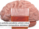 Brain activity predicts which mice will become compulsive drinkers