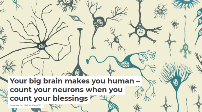 Your big brain makes you human – count your neurons when you count your blessings