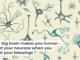 Your big brain makes you human – count your neurons when you count your blessings