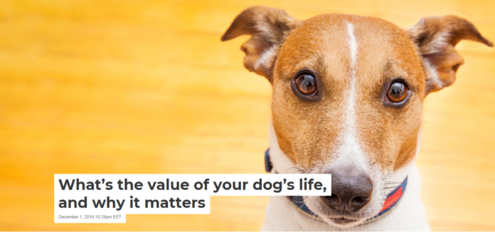Your lovable dog has a value of about $10,000, researchers suggest. Javier Brosch/Shutterstock.comr