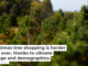 Christmas tree shopping is harder than ever, thanks to climate change and demographics