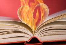 If the Romance Writers of America can implode over racism, no group is safe