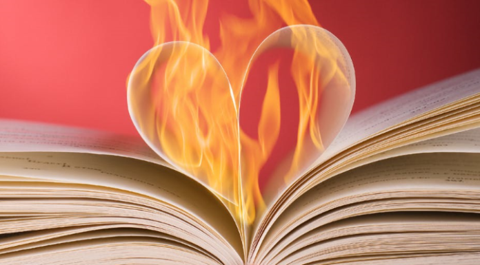 If the Romance Writers of America can implode over racism, no group is safe