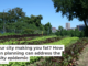 Is your city making you fat? How urban planning can address the obesity epidemic