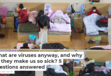 What are viruses anyway, and why do they make us so sick? 5 questions answered