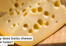 Why does Swiss cheese have holes?