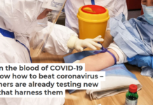 Antibodies in the blood of COVID-19 survivors know how to beat coronavirus – and researchers are already testing new treatments that harness them