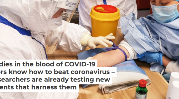Antibodies in the blood of COVID-19 survivors know how to beat coronavirus – and researchers are already testing new treatments that harness them
