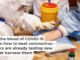 Antibodies in the blood of COVID-19 survivors know how to beat coronavirus – and researchers are already testing new treatments that harness them