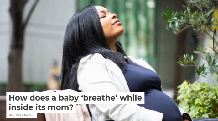 How does a baby ‘breathe’ while inside its mom?