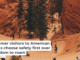 Summer visitors to American parks choose safety first over freedom to roam