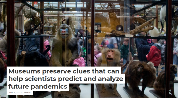 Museums preserve clues that can help scientists predict and analyze future pandemics