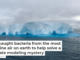 We caught bacteria from the most pristine air on earth to help solve a climate modeling mystery