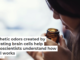 Synthetic odors created by activating brain cells help neuroscientists understand how smell works