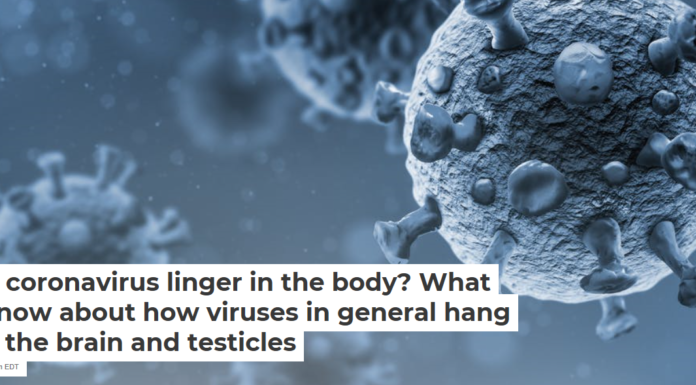 Does coronavirus linger in the body? What we know about how viruses in general hang on in the brain and testicles