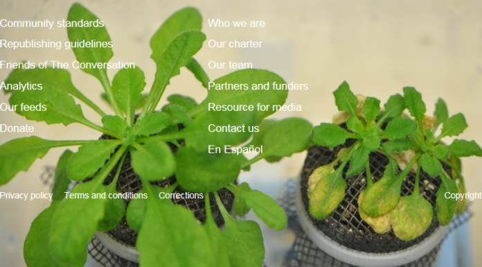 When plants and their microbes are not in sync, the results can be disastrous