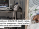 Steroids cut COVID-19 death rates, but not for everyone – here’s who benefits and who doesn’t