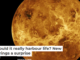 Venus: could it really harbour life? New study springs a surprise