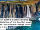 One of Earth’s most biodiverse habitats lies off the Scottish west coast – but climate change could wipe it out