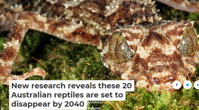 New research reveals these 20 Australian reptiles are set to disappear by 2040
