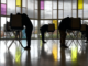 Is democracy sacred?