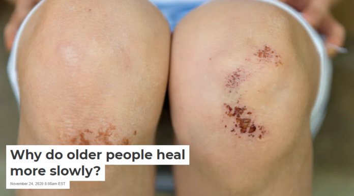 Why do older people heal more slowly?