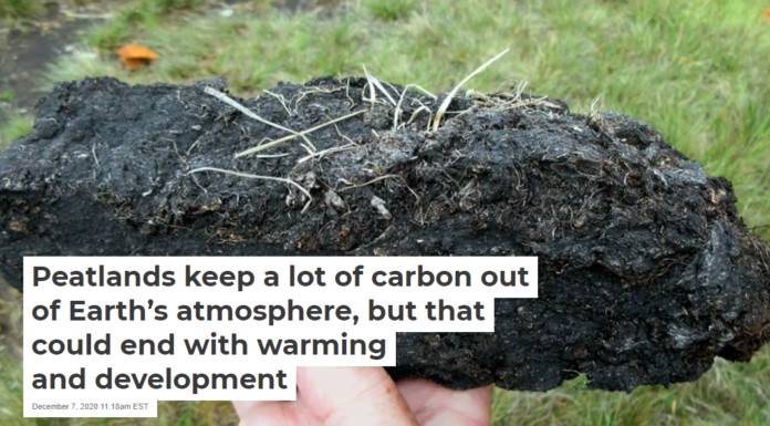 Peatlands keep a lot of carbon out of Earth’s atmosphere, but that could end with warming and development