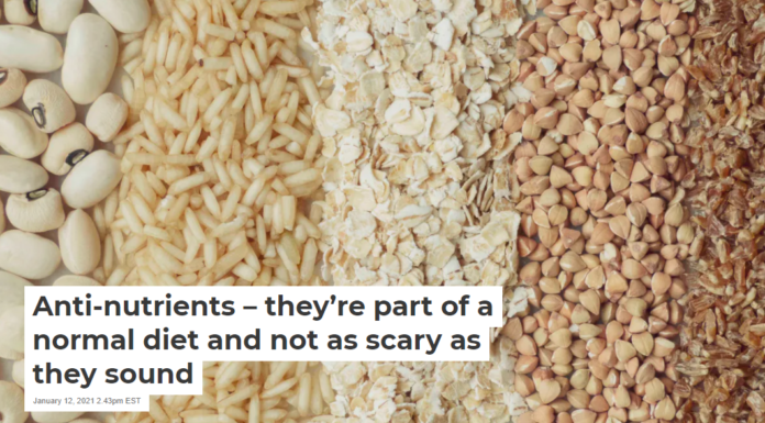 Anti-nutrients – they’re part of a normal diet and not as scary as they sound