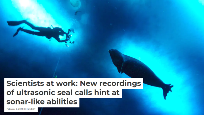 Scientist and seal, under the Antarctic ice. McMurdo Oceanographic Observatory, CC BY-ND