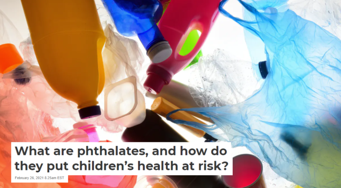 What are phthalates, and how do they put children’s health at risk?