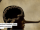 Why school leaders fake academic success